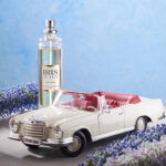 Iris car spray