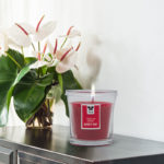 IRIS Scented Candle