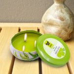 green apple fragrance tin candle