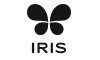 Best Home Fragrance Online | Buy Candles Online – Iris Home Fragrances