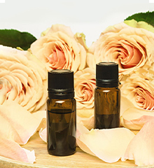 Amber rose fragrance