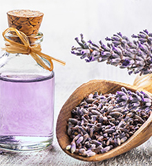 Iris Lavender Fragrance